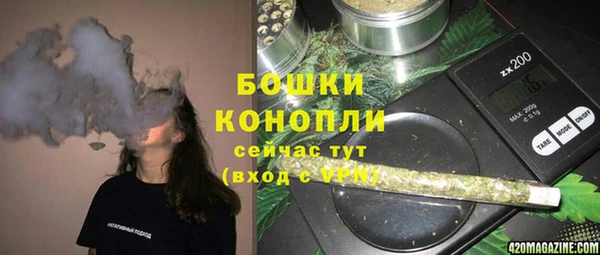 индика Балабаново