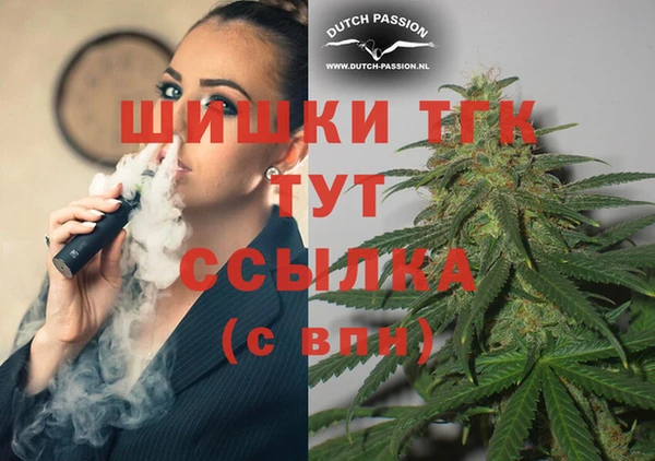 индика Балабаново