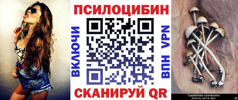 Псилоцибиновые грибы GOLDEN TEACHER ОМГ ОМГ онион Фатеж закладка